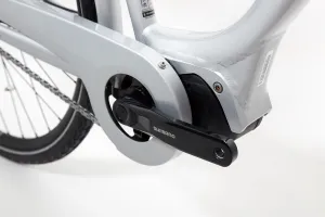 RidgeBack Electron  Grey